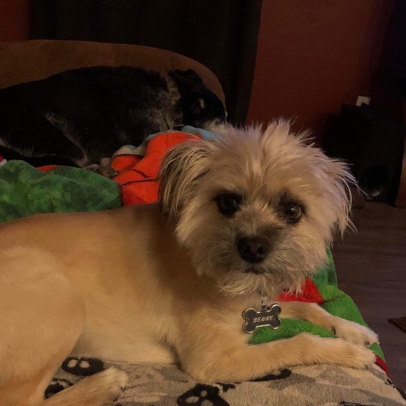 Meet your Posher, Jack - Picture 5 of 9